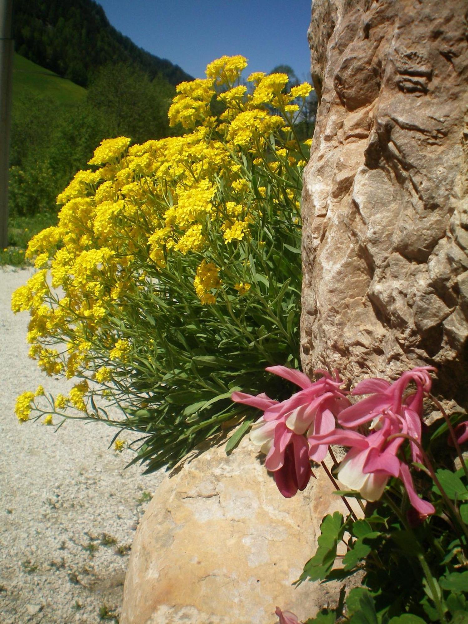Villa Otto Santa Cristina Val Gardena Exteriör bild