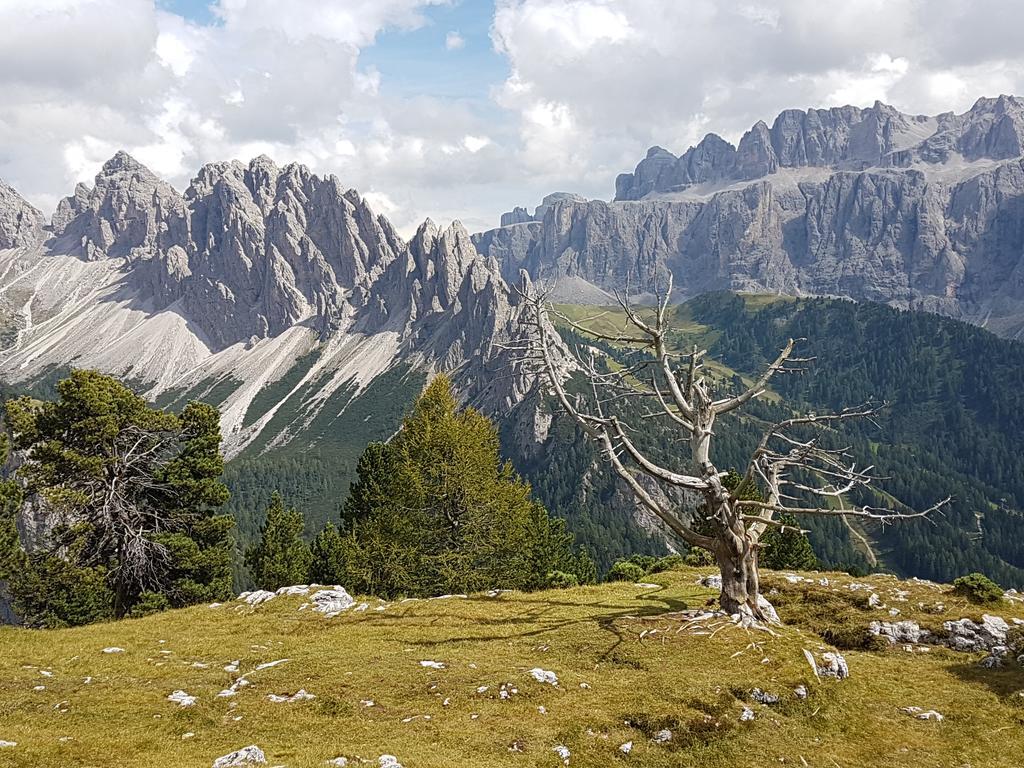 Villa Otto Santa Cristina Val Gardena Exteriör bild